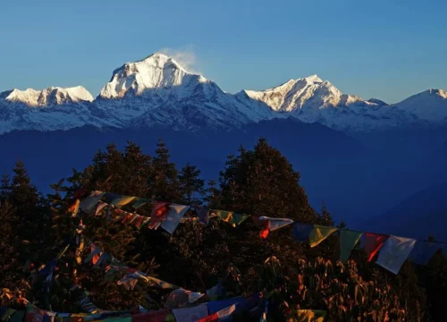 Ghorepani Poon Hill Trek - 9 Days